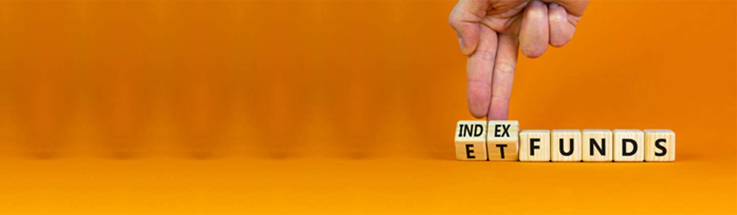 Low-cost Index Fund?
